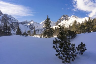 Kış manzara Dolina Zeleneho plesa. Tatra Dağları. Slov