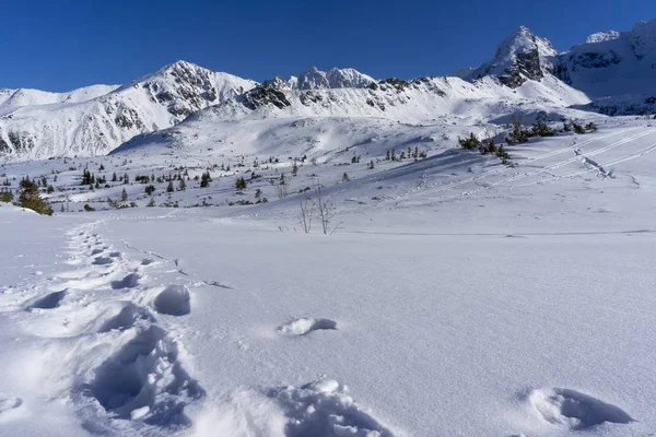 Valle Gasienicowa en invierno. Montañas Tatra. Polonia . —  Fotos de Stock