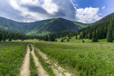 Haziran ayında Kondratowa Vadisi. Batı Tatras. Polonya.