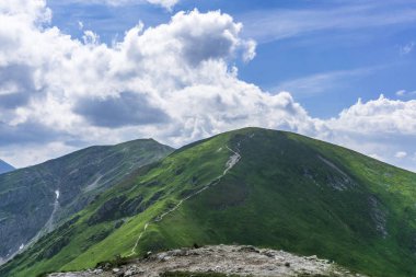 Haziran'da dağ çayırı. Czerwone Wierchy bölgesi. Batı Tatra