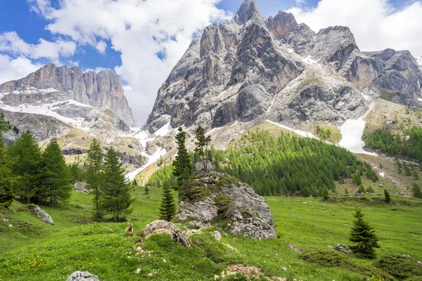Piękny letni krajobraz Val Rosalia, Dolomity, Włochy. — Zdjęcie stockowe