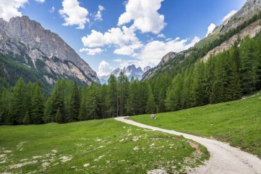 Val Contrin'deki dağ yolu. Dolomites. İtalya.
