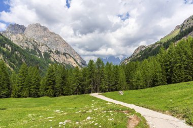 Val Contrin'deki dağ yolu. Dolomites. İtalya.