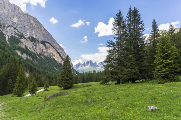 Piękny widok na Val Contrin w czerwcu. Dolomity. Włochy. — Zdjęcie stockowe