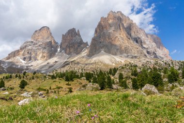 Sassolungo manzarası. Dolomitler. İtalya.