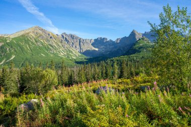Gasienicowa Vadisi. Tatra Dağları. Polonya.