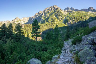Popradske Slovakya 'daki çok güzel bir dağ gölü..