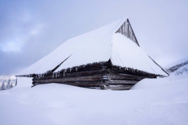 Derin karda eski bir dağ kulübesi. Tatry..