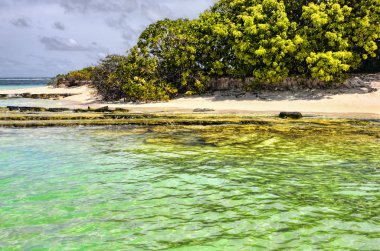 Beyaz kum ve mercan resifleri ile Maldivler Adaları ıssız bir Atol yaklaşım