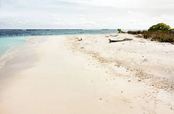 Tropical Beach Partot Fehér Korall Homok Maldív Szigetek — Stock Fotó