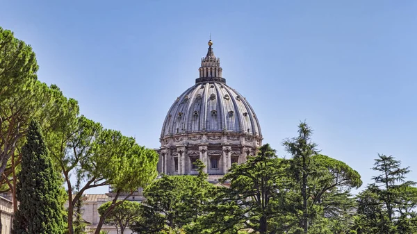 Peter Bazilikası Vatikan Vatikan Ünlü Kubbe — Stok fotoğraf
