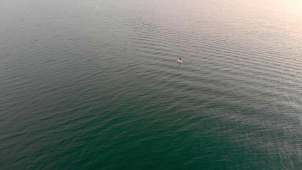 Aerial View Ocean Distance Athlete Performs Stand Paddle Watersports — Stock Video