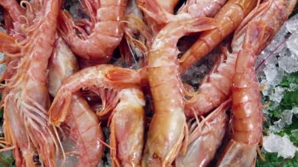 Regard Sur Poissonnier Avec Une Boîte Crevettes Rouges Fraîches — Video