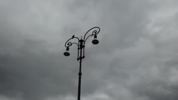 Gloomy Winter Day Crow Croaks Street Lamp — Stock Video