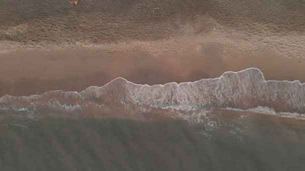 Vue Aérienne Océanique Ralenti Sous Sol Sur Rivage — Video