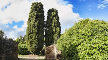 Ostia antik arkeolojik kazılar vahşi doğada