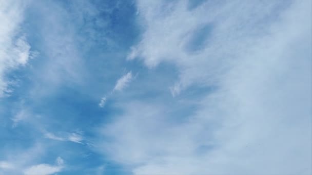 Όμορφο Καλοκαιρινό Ουρανό Λευκά Σύννεφα Σχηματισμούς Στο Χρόνο Λήγει — Αρχείο Βίντεο