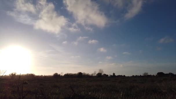 Pohledu Louku Krásnou Letní Oblohou Mraky Dne Noci Měsícem Měsíčním — Stock video