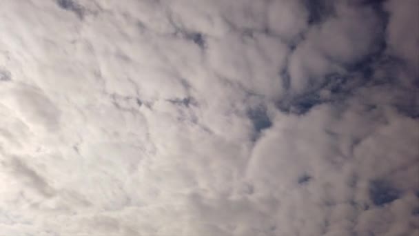 Zirkumuluswolken Zeitraffer Weiße Wolkenbänke Die Mit Schatten Wehen Und Sich — Stockvideo