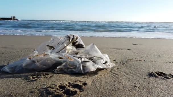 Seascape Lixo Proteção Ambiental Necessária Sacos Plástico Não Biodegradável Mar — Vídeo de Stock