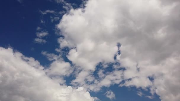 Toller Zeitraffer Mit Flauschigen Weißen Kumuluswolken Mit Einem Sommerlich Dunkelblauen — Stockvideo