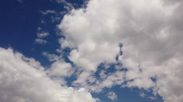 Awesome Time Lapse Fluffy White Cumulus Clouds Summer Dark Blue — Αρχείο Βίντεο