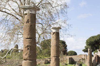 Ostia Antica arkeolojik kazılarda Peyzaj: PE