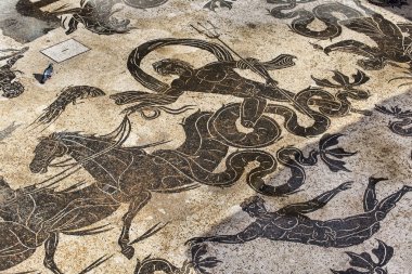 Neptune termal hamamlarında Nettuno zafer mozaik detay