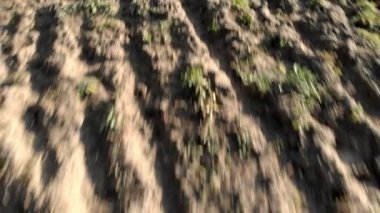 Kuru kahverengi toprağı çeken tarlalarla tarlalar sürülmüş tarlaların üzerinden hızla geri geri uçan çılgın hava manzarası.
