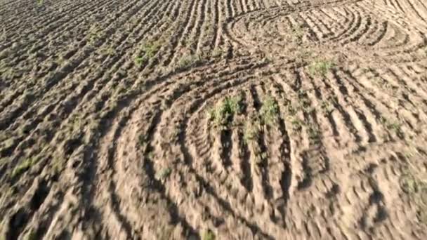 Landschaft Der Luftaufnahme Ackerland Gepflügte Felder Umgeben Von Furchen Die — Stockvideo