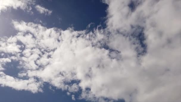 Awesome Hight Altocumulus Στρώματα Λευκά Σύννεφα Στο Χρόνο Lapse Καλός — Αρχείο Βίντεο