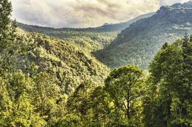 Awesome dağ ormanı panorama, tepelerin üst görünümü, dağlar bir