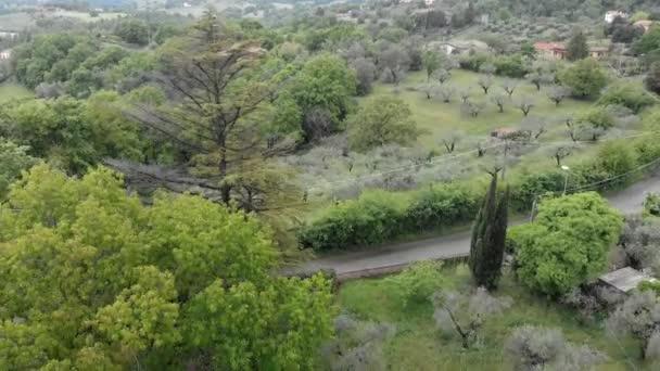 Niedrige Luftaufnahme Mit Hügeliger Vegetation Und Eichen Zypressen Und Feldern — Stockvideo
