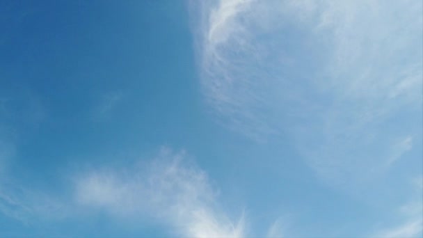白い柔らかい巻雲が空中で踊る夏の時間の経過 — ストック動画