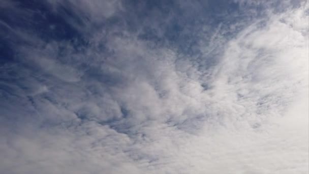 美丽的时间流逝下午蓝色夏季的天空和由风携带的圆云 — 图库视频影像