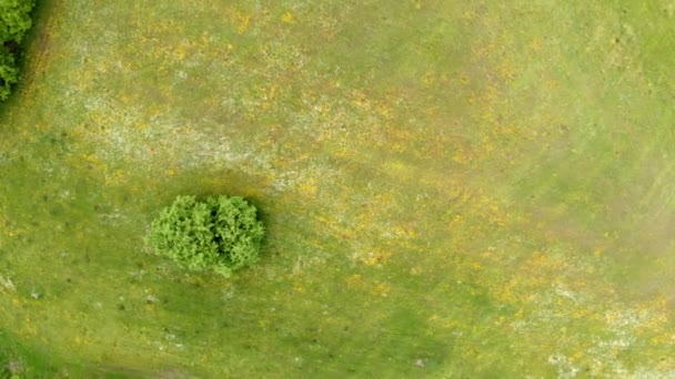 Vista Superior Impressionante Moscas Drone Acima Campo Com Campos Cultivados — Vídeo de Stock
