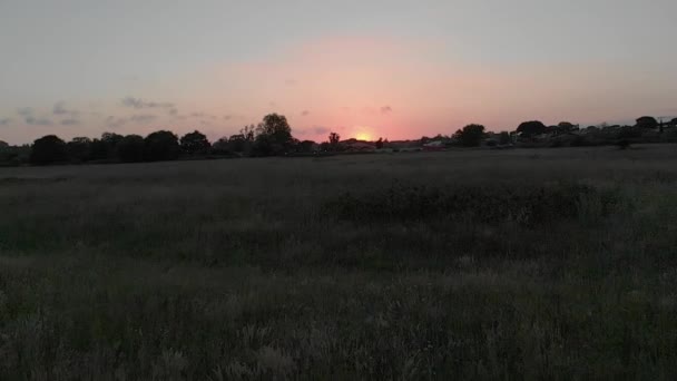 Zapadajícím Slunci Pomalý Pohyb Dronu Letící Pozpátku Nad Neobdělané Pole — Stock video