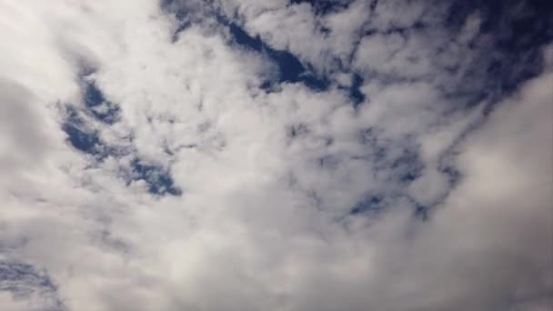 Красивое Живописное Время Пролетело Голубое Небо Белыми Пухлыми Плотными Облаками — стоковое видео