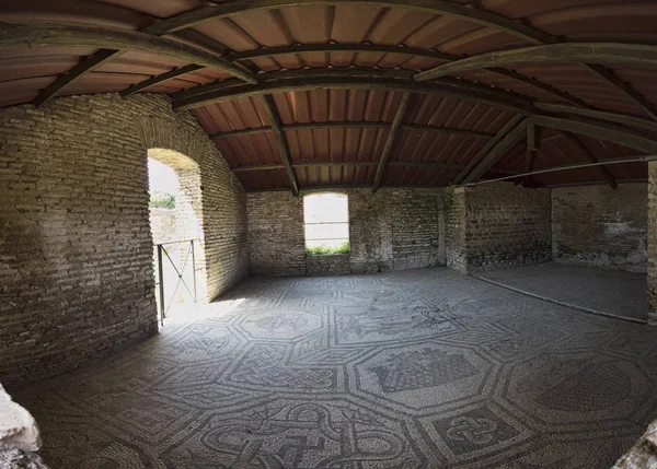 Το δωμάτιο του Διοσκίου είναι το μωσαϊκό που υπάρχει στο Domus του Διοσκούρι l — Φωτογραφία Αρχείου