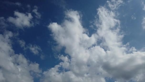 Geweldige Tijd Vervalt Tot Makreel Hemel Gezwollen Witte Wolken Bewegen — Stockvideo