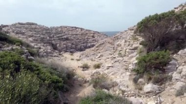 Saint Peter Adası 'ndaki vahşi doğaya zum yapan Akdeniz bitkileriyle dolu birçok uçurum ve körfez, doğal bir seyahat noktası olan rüzgarla hareket ediyor.
