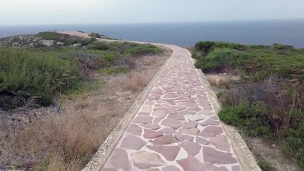 Pov Περπάτημα Μόνη Της Στην Περιοχή Της Μεσογείου Άγριας Φύσης — Αρχείο Βίντεο