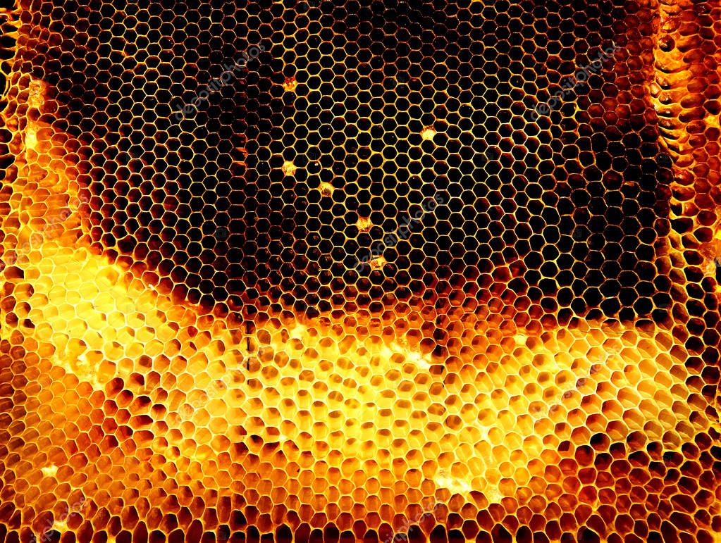 Background hexagon texture, wax honeycomb from a bee hive filled with golden honey. Honeycomb macro photography consisting of beeswax, yellow sweet honeys from beehive. Honey nectar of bees honeycombs