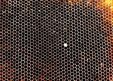 Arka plan altıgen doku, balmumu petek arı kovanı üzerinden altın bal ile dolu. Makro fotoğrafçılık balmumu, arı kovanı gelen sarı tatlı ballar oluşan petek. Arılar peteğin tatlım nektarı