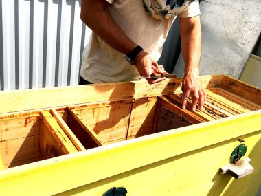 Fotoğraf arı kovanı, balmumu petek altın bal ile dolu bir arı kovanı üzerinden gösterir. Makro fotoğrafçılık balmumu, arı kovanı gelen sarı tatlı ballar oluşan petek. Arılar arı kovanı bal nektarı.