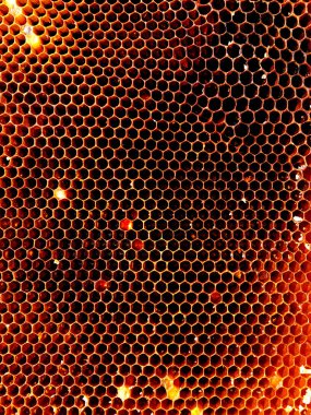 Arka plan altıgen doku, balmumu petek arı kovanı üzerinden altın bal ile dolu. Makro fotoğrafçılık balmumu, arı kovanı gelen sarı tatlı ballar oluşan petek. Arılar peteğin tatlım nektarı