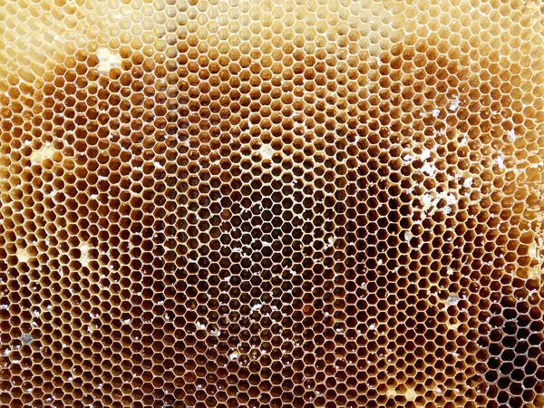 Background Hexagon Texture Wax Honeycomb Bee Hive Filled Golden Honey — Stock Photo, Image