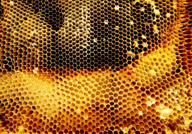 Arka plan altıgen doku, balmumu petek arı kovanı üzerinden altın bal ile dolu. Makro fotoğrafçılık balmumu, arı kovanı gelen sarı tatlı ballar oluşan petek. Arılar peteğin tatlım nektarı