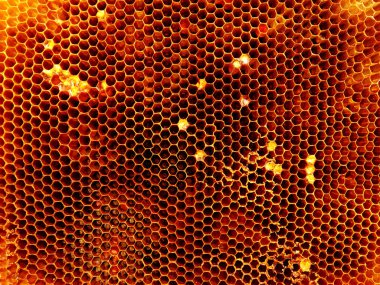 Arka plan altıgen doku, balmumu petek arı kovanı üzerinden altın bal ile dolu. Makro fotoğrafçılık balmumu, arı kovanı gelen sarı tatlı ballar oluşan petek. Arılar peteğin tatlım nektarı