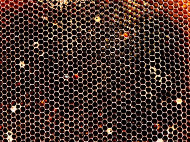 Arka plan altıgen doku, balmumu petek arı kovanı üzerinden altın bal ile dolu. Makro fotoğrafçılık balmumu, arı kovanı gelen sarı tatlı ballar oluşan petek. Arılar peteğin tatlım nektarı